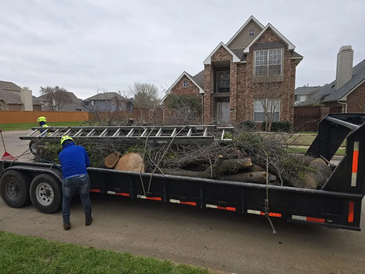 Expert Tree Pest Control with proper safety equipment in Sunbright